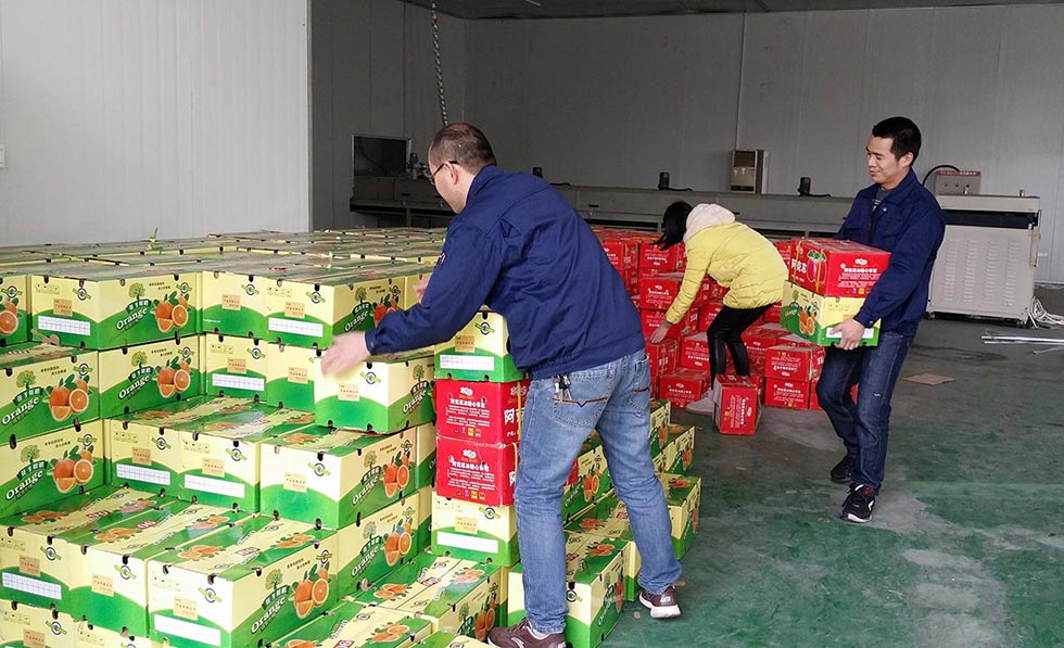 廠家發放春節福利